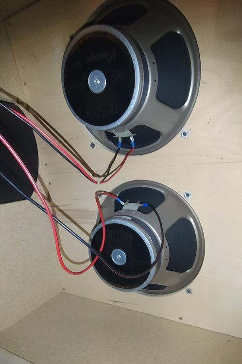 Cablaggio speakers.jpg